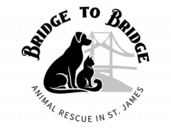 Bridge to Bridge Rescue St. James