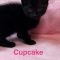 Cupcake