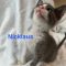Nick